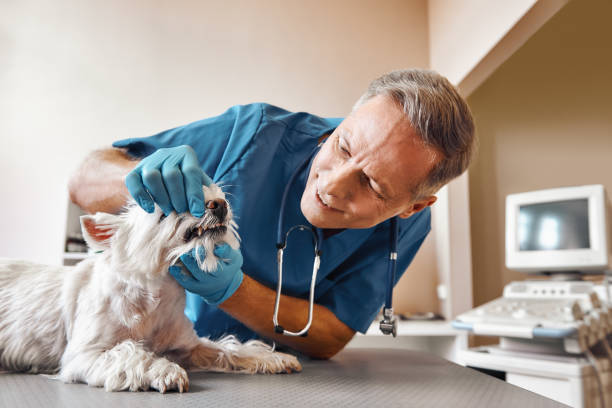 Best Emergency Tooth Extraction in Lake Kiowa, TX